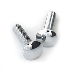 Stainless Steel Carriage Bolts