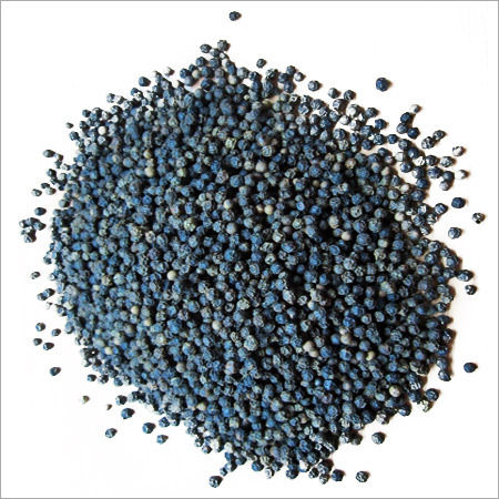 Bangles Black Pepper Seeds