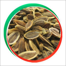 Dill Seeds - Pure Botanical Quality, Dark Green Color, Pungent Aromatic Flavor - Fresh, Long Shelf Life, Adulteration Free