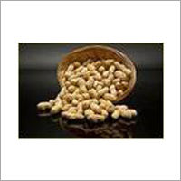 Ground Nut Seeds