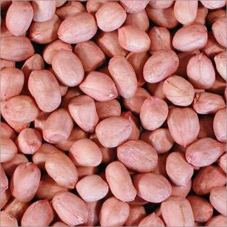 Groundnut Seeds