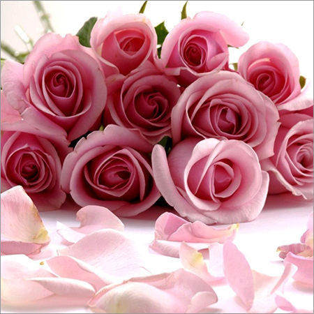 Pink Rose Bouquet Application: Home