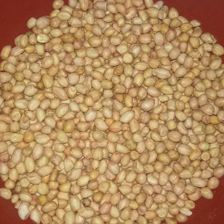 Processed Groundnut Seeds