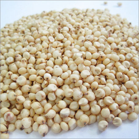 Sorghum Seeds Application: Window Handle