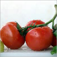 Fresh Tomato - Nutrient-Rich, Chemical-Free Quality | Enhances Skin Texture, Rich in Vitamins and Antioxidants