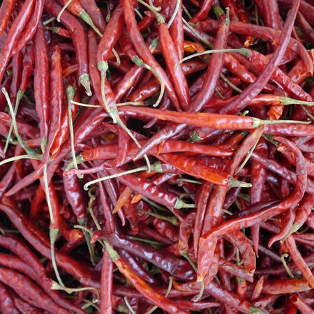 Dehydrated Red Chilli