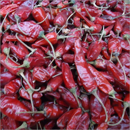 Dry Indian Red Chilli