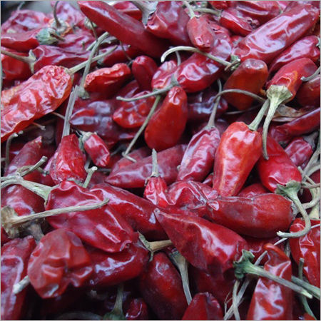 Indian Red Chilli