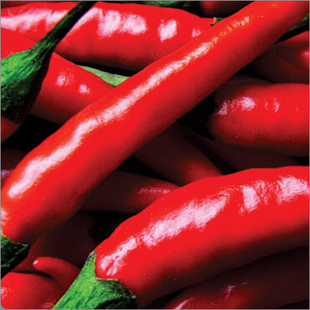 Pure Red Chili - Organic Quality, Customizable Packaging Options | Exotic Flavor, Refreshing Taste, Longer Shelf Life