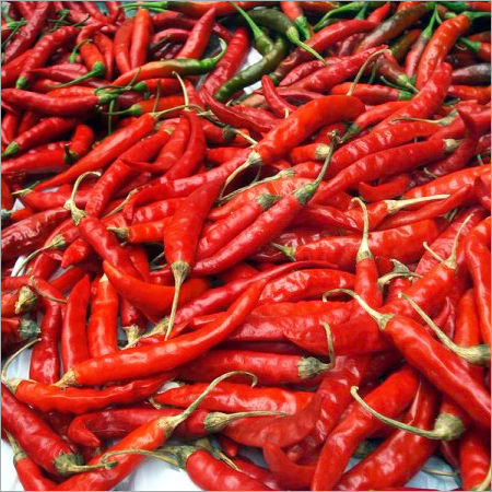 Pure Red Chilli