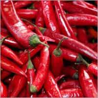 Red Chilli