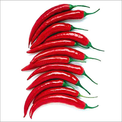 Red Chilli