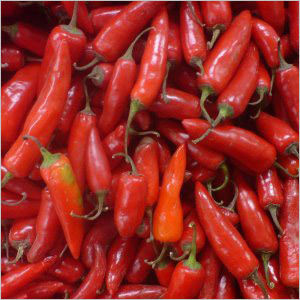 Red Chilli