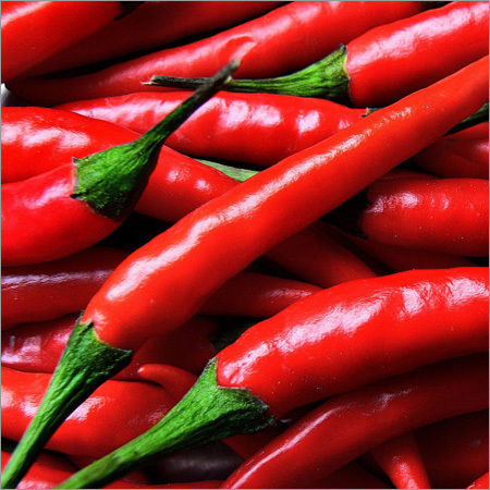 Red Chilli