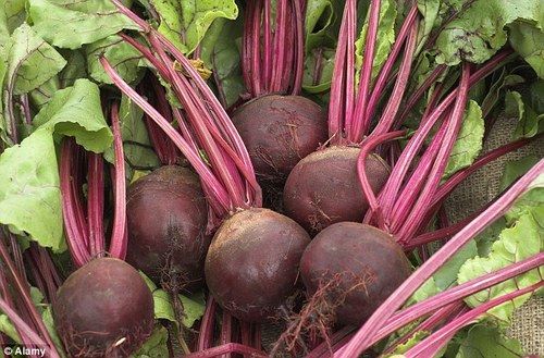 Fresh Red Beetroot