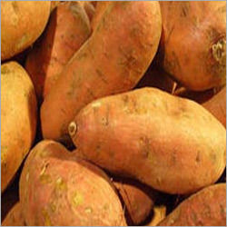 Sweet Potato