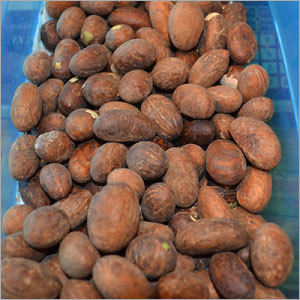 Bitter Kola Nuts