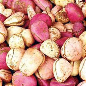 Kola Nuts