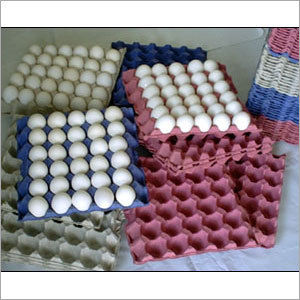 Colour Egg Trays