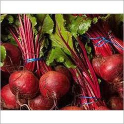 Junction Box Beetroot