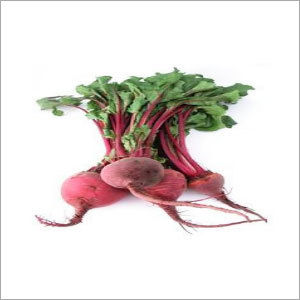 Fresh Beetroot