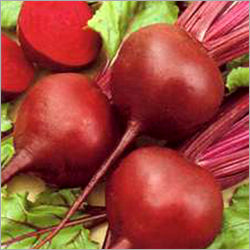 Fresh Beetroot