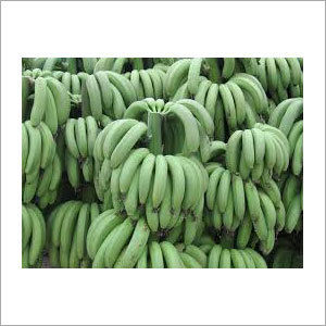 Cavendish Bananas - 20cm Finger Length, Dark Green Color | Premium Quality, Insect-Free, Long Shelf Life, Disinfected with Aluminum Sulphate