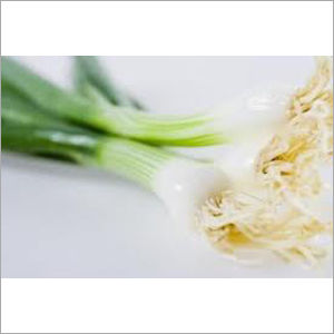 Green Onion