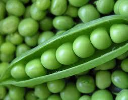 Fresh Green Peas - Nutrient-Rich Leguminous Vegetable , Freshness, Rich Taste, Long Shelf Life, High in Vitamins and Antioxidants