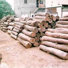 Sagwan Wood Round Logs