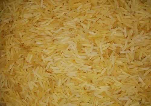1509  Golden Rice