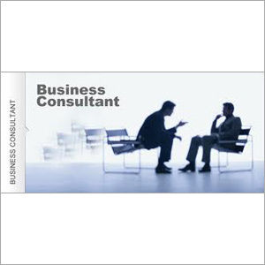 Business Consultant