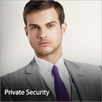 As Per Requirement Corporate Security Services