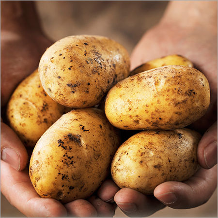 Farm Fresh Potato