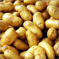 Fresh Potatoes