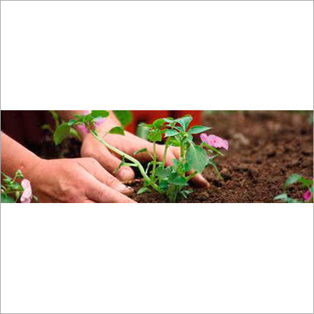 Gardening Services