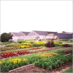 Horticulture Services