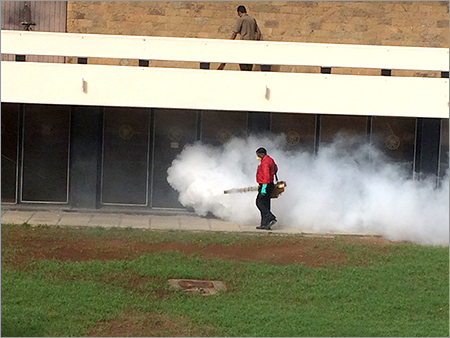 Mosquito Control Fogging Services By STERLING PEST CONTROL SERVICES PVT. LTD.