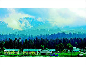 Himachal Honeymoon Packages