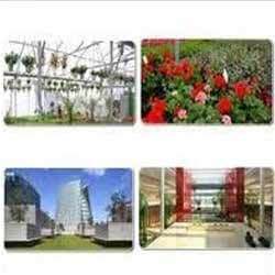 Inhouse Garden Services