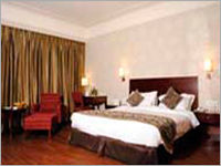 Luxury Accommodations Service