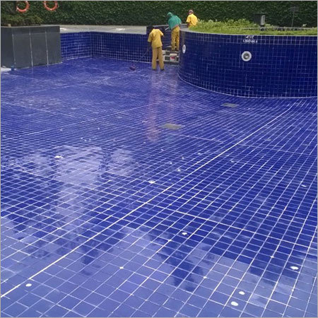 Swimming Pool Maintenance Services Age Group: Adults
