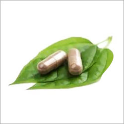 Garcinia Cambogia Extract