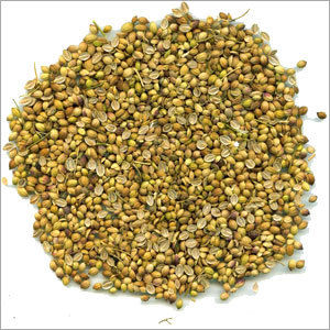 Split Coriander Seeds - Organic Dried Fruits | Antioxidant-Rich, Ideal for Asian Cuisines, Traditional Medicinal Use