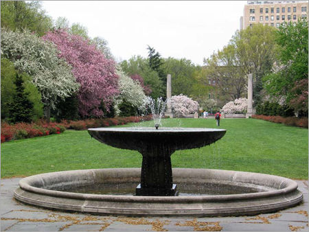 Designer Garden Fountain