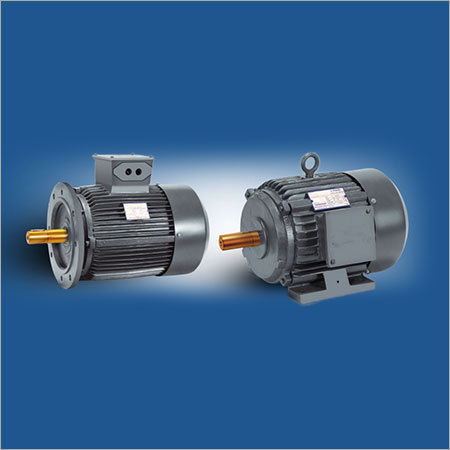 Dual Speed Induction Motor