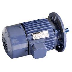 Flange Mounted Induction Motor