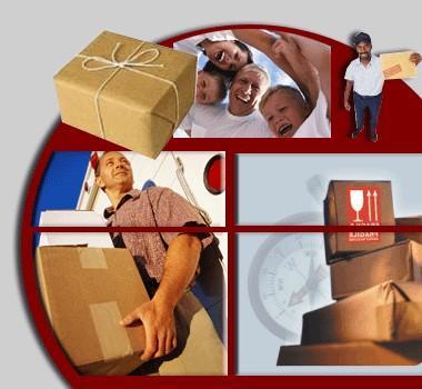 Domestic Parcel Services By On Dot Couriers & Cargo Ltd.