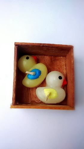 Couple ducks in small wooden box