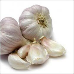 Dry Garlic